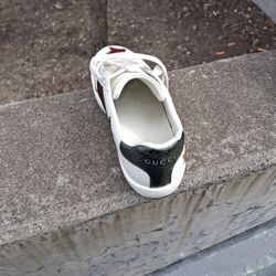 Kid Gucci size 4