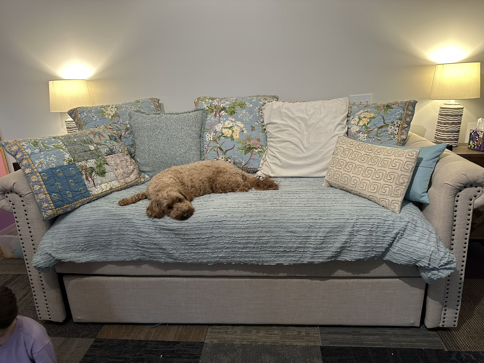 Daybed Sofa With Trundle Bed