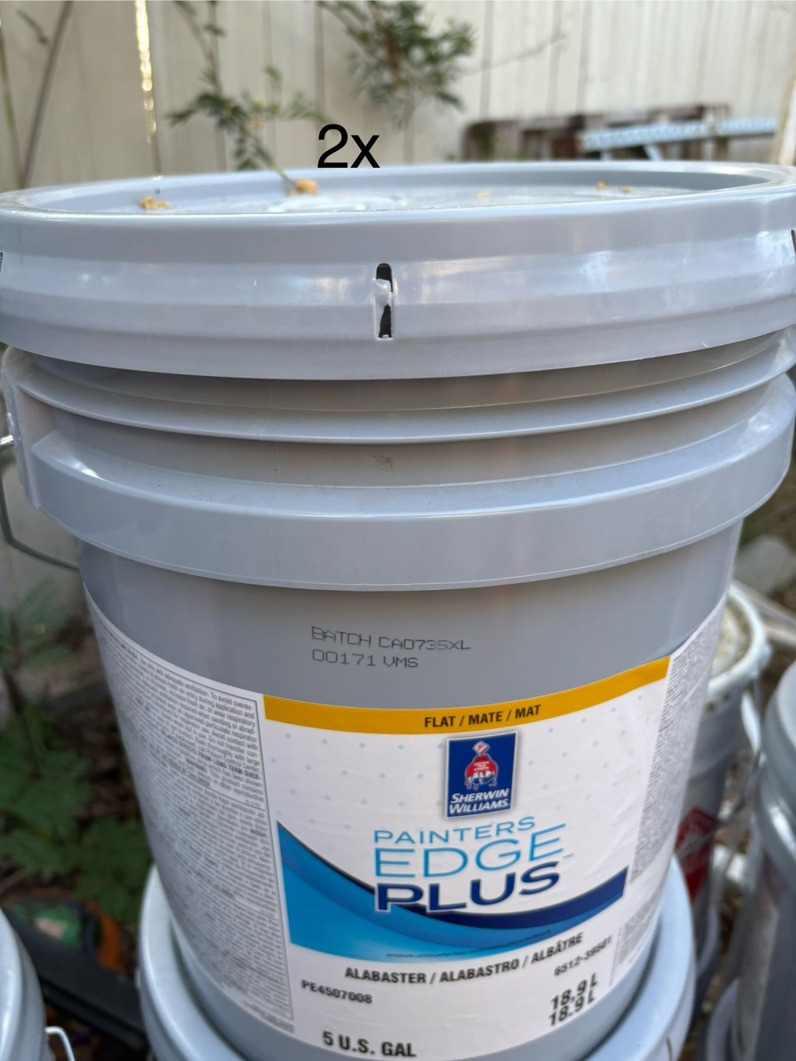 White Alabaster Paint