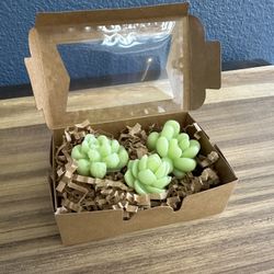 Succulent mini soap in a box