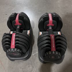 Bowflex Dumbbells (pair)