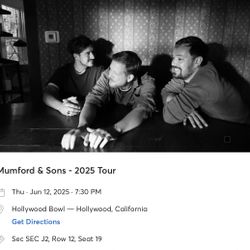 Mumford & Sons 