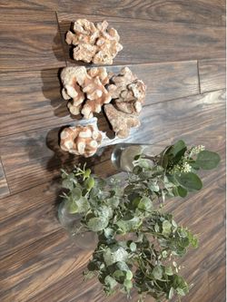 Free home decor and books
