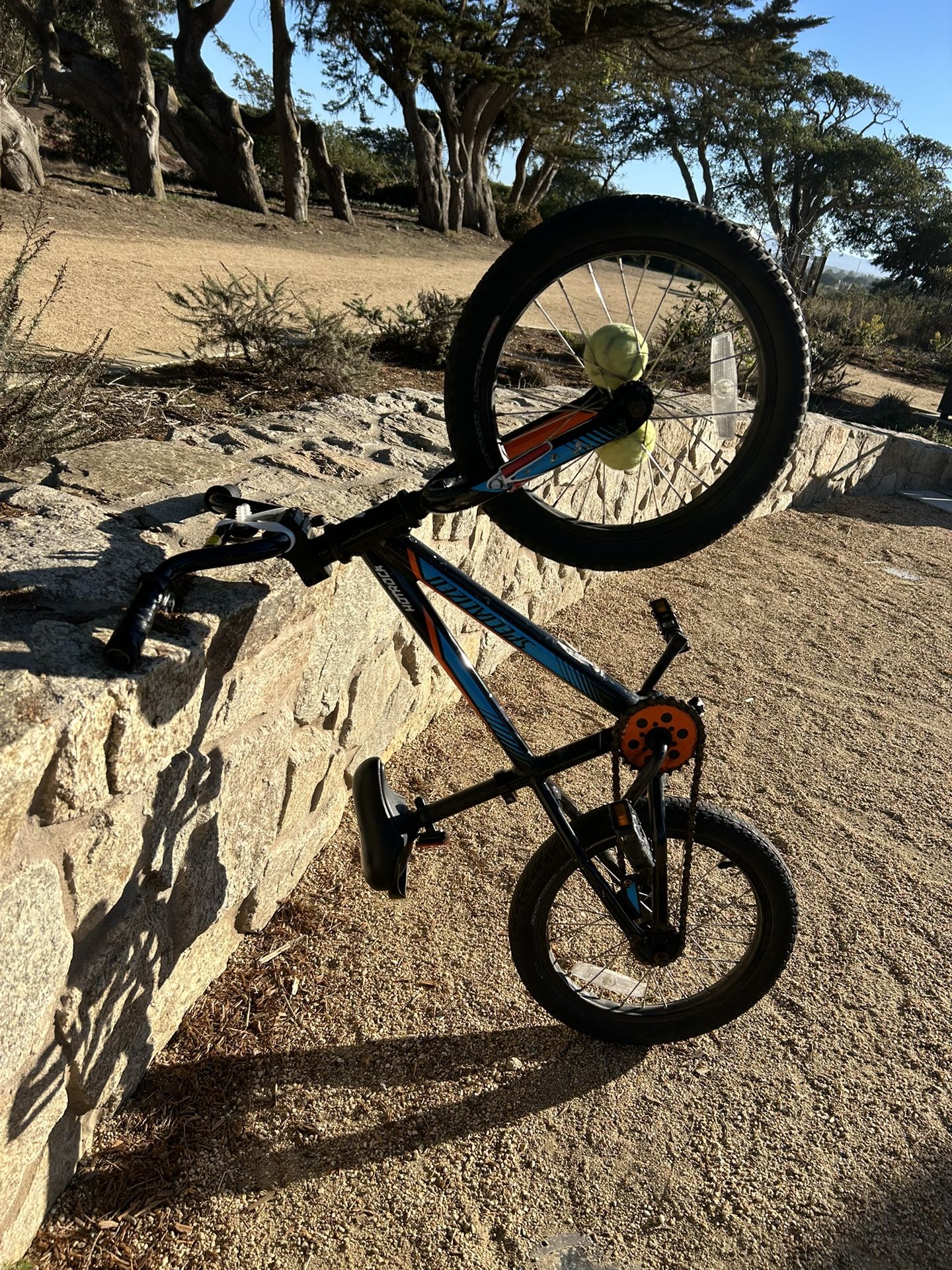 Specialized bike 16’