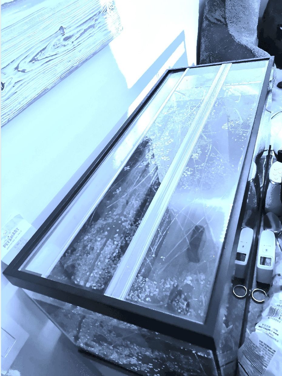 20 gallon long fish tank (lid included)