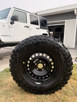 New Falcon Wild Peak MT