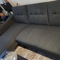 Living Room Couch (Reversible Sleeper Sofa & Chaise)