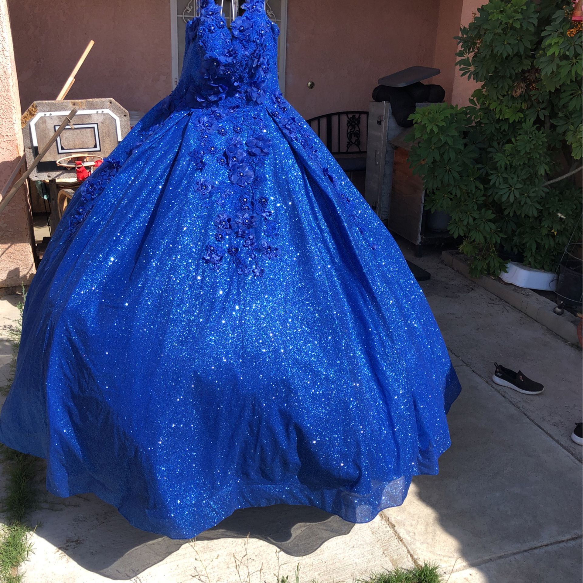 15 Quinceanera Dress 18 Debut Dress Royal Blue With Flowers on 3XL Also Includes Petty  Asking $800 Only Used once Includes Crown and Bouquet 