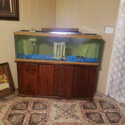 Fish Tank