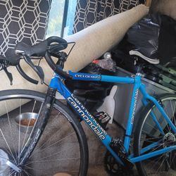 Cannondale Street Bike