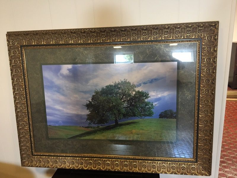 Beautiful Gold Frame " the tree" Art