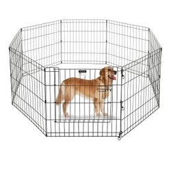 Dog Cage 