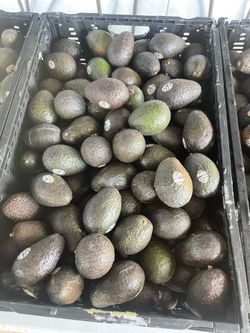 Vendo 4 Cajas de Aguacates