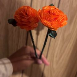 Orange Eternal Flowers