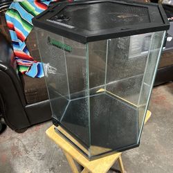 20 Gallon Hexagon Terrarium 