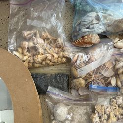 Seashells craft set with three mirrors