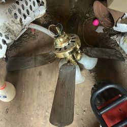 Ceiling Fan 