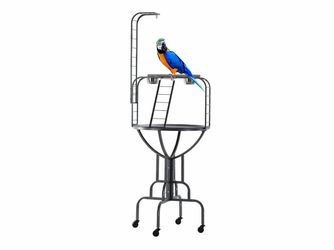 Parrot metal play gym