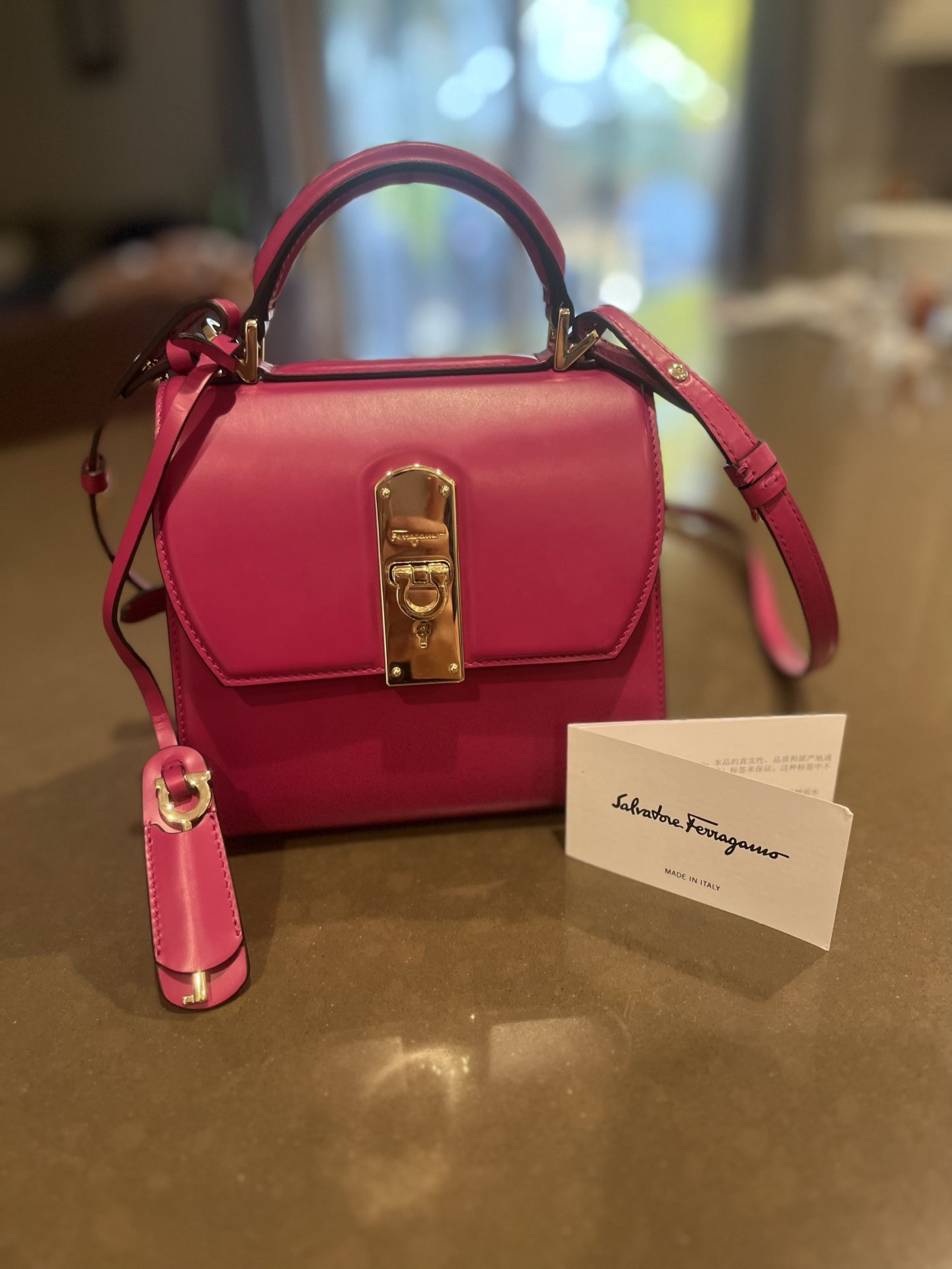 Salvatore Ferragamo Designer Handbag