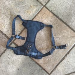 dog harness