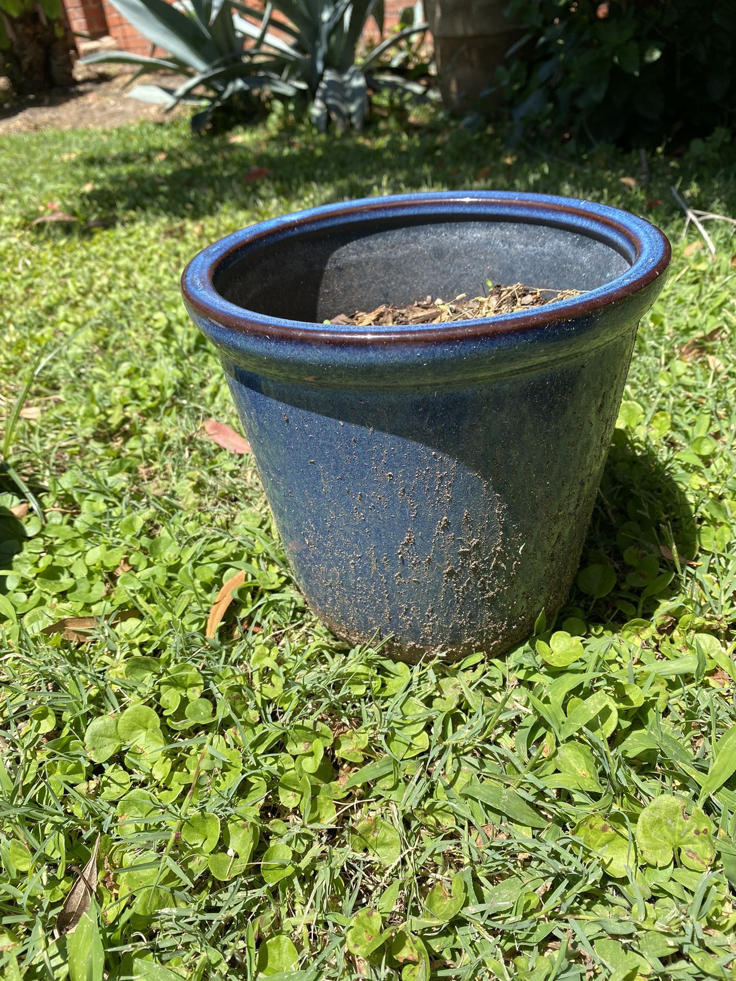 Blue Plant Pot/Planter 