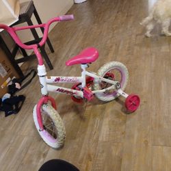 Lil Girls Bike 