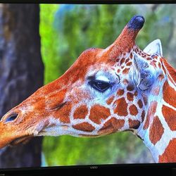 Vizio V-Series 65” TV (V656-G4) – Good Condition