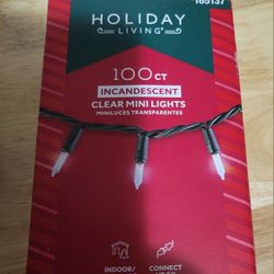 Holiday Living 100ct Clear Mini Lights, 20.6 ft