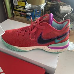 Nike Lebron Zoom Size 11.5