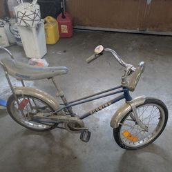 Schwinn Vintage Pixie Sting Ray