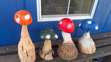Mushrooms 🍄