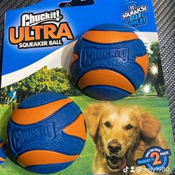 Dog Toy