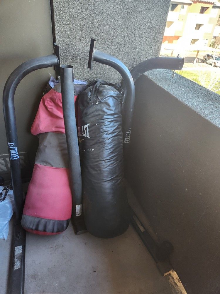 Everlast Punching Bag & Stand