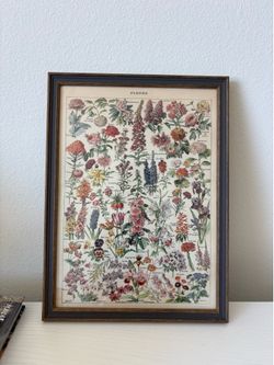Picture decor fleurs flowers