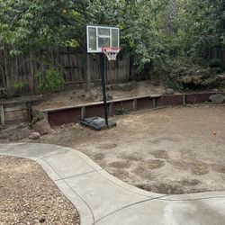 Basket Ball Court Free