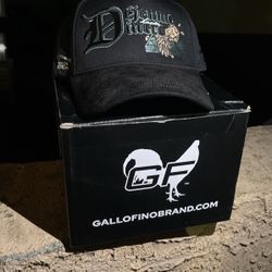 Gallo Fino X EE Sold Out!!🪗