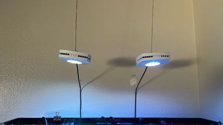 2 AI lights for a fish tank.