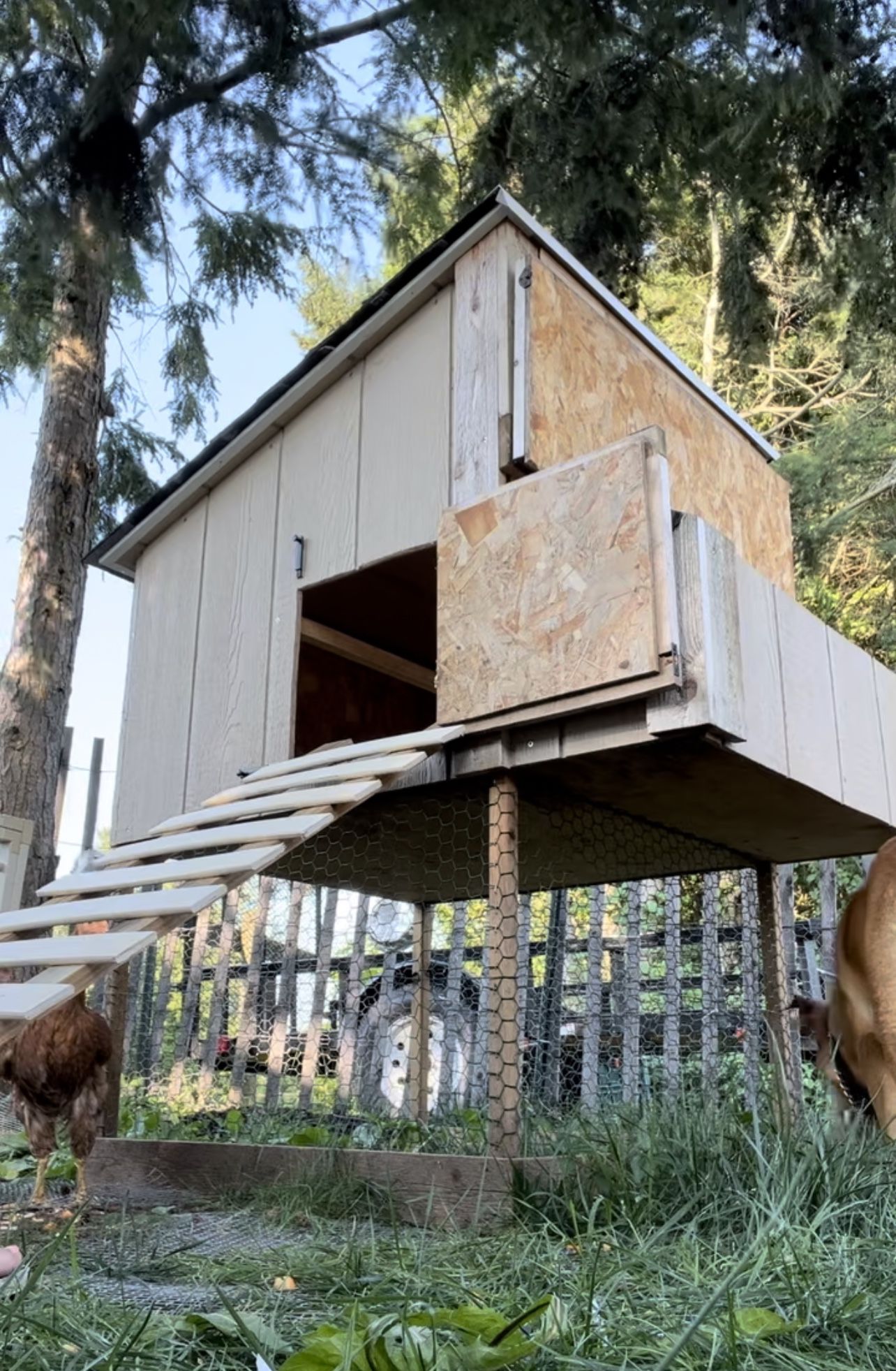 Chicken House Coop, Heavy Duty Amish Built
