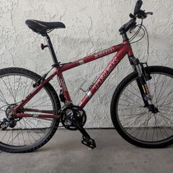 Trek Mountain Bike