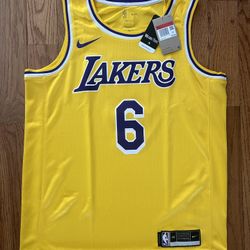 LeBron James Los Angeles Lakers Icon Nike Swingman Jersey Size 48/Large NEW