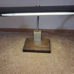 Vintage Art Deco Gooseneck Desk Lamp 