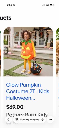 Pottery barn pumpkin costume