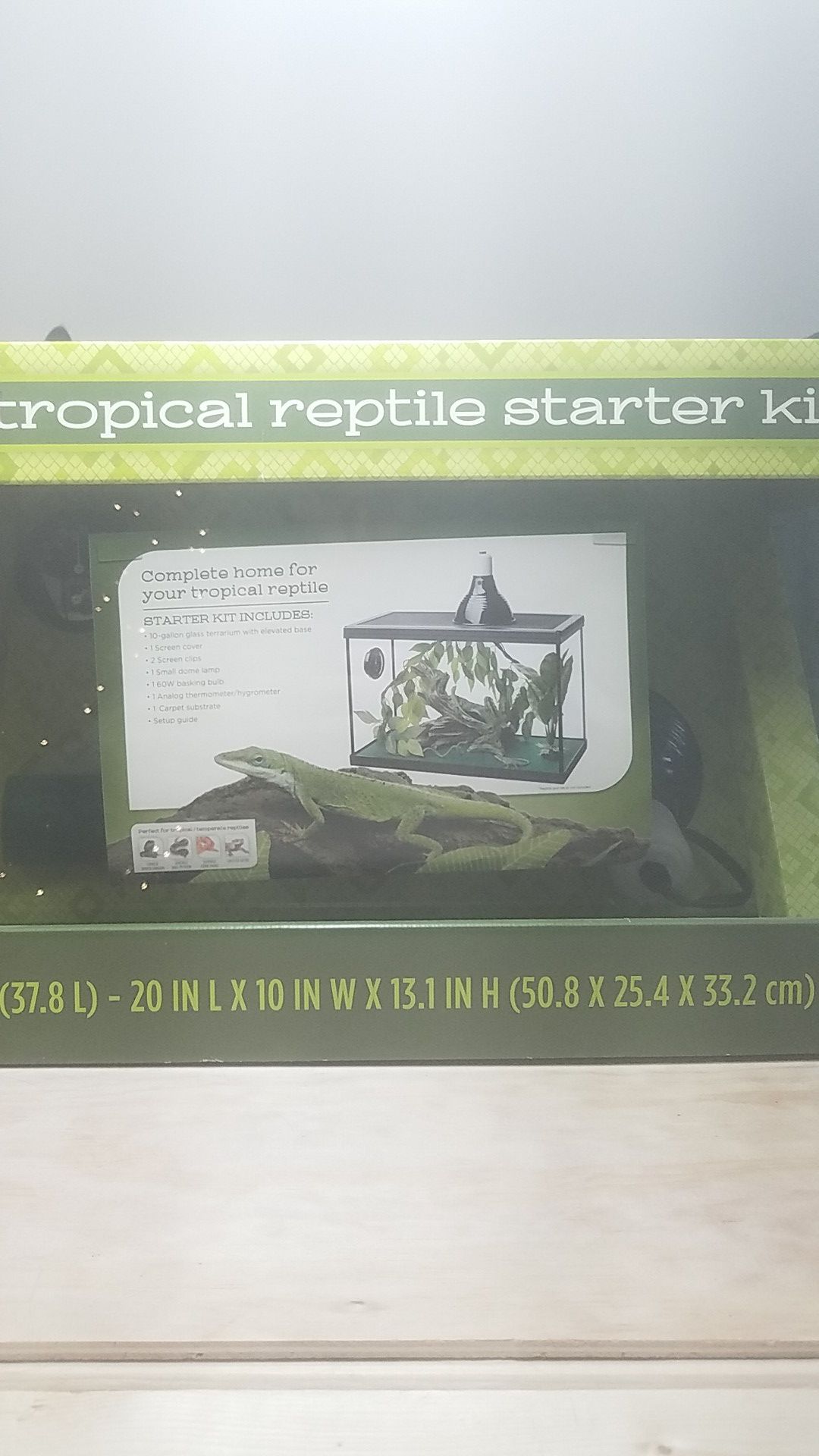 Tropical Reptile Starter Kit