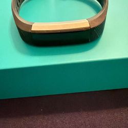 Fitbit 