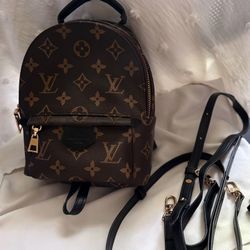 Louis Vuitton Palm Springs Mini Backpack – Monogram Canvas – Excellent Conditio