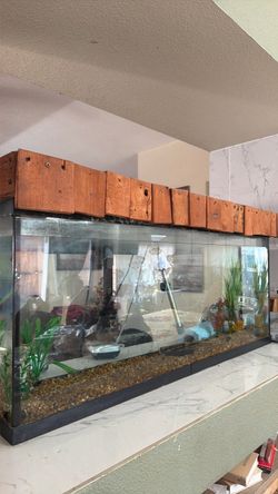 65 gallon fish tank