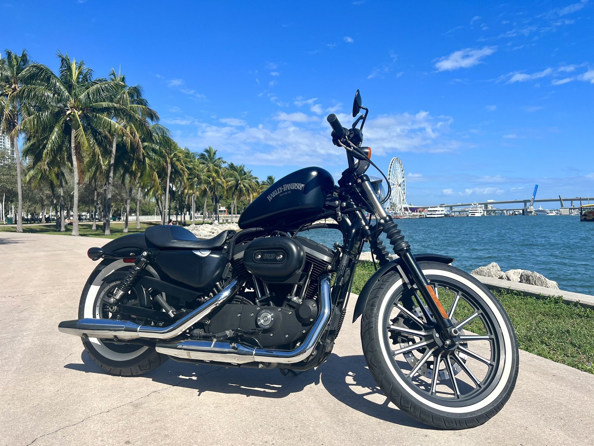 2014 Harleydavidson Sportster Iron 883null