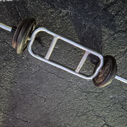 Tricep Bicep 💪 Bar N WEIGHTS 