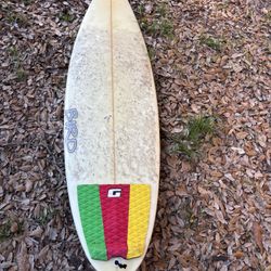 Bird Surfboard 5/8