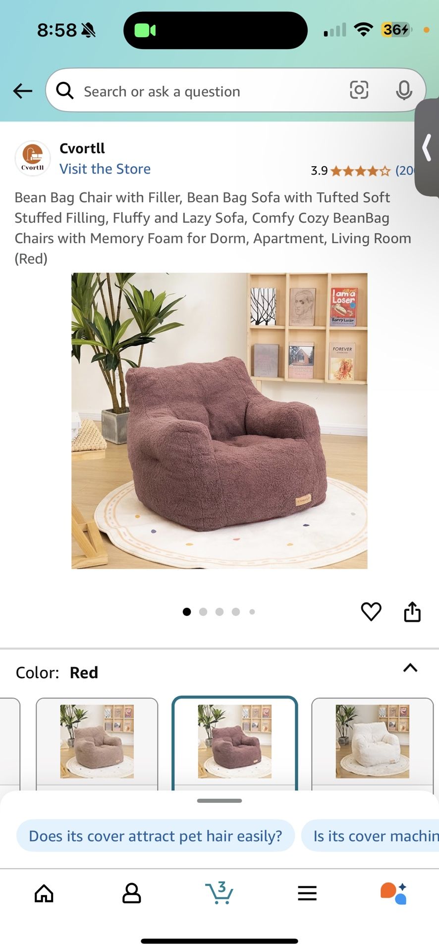 Bean Bag Chair